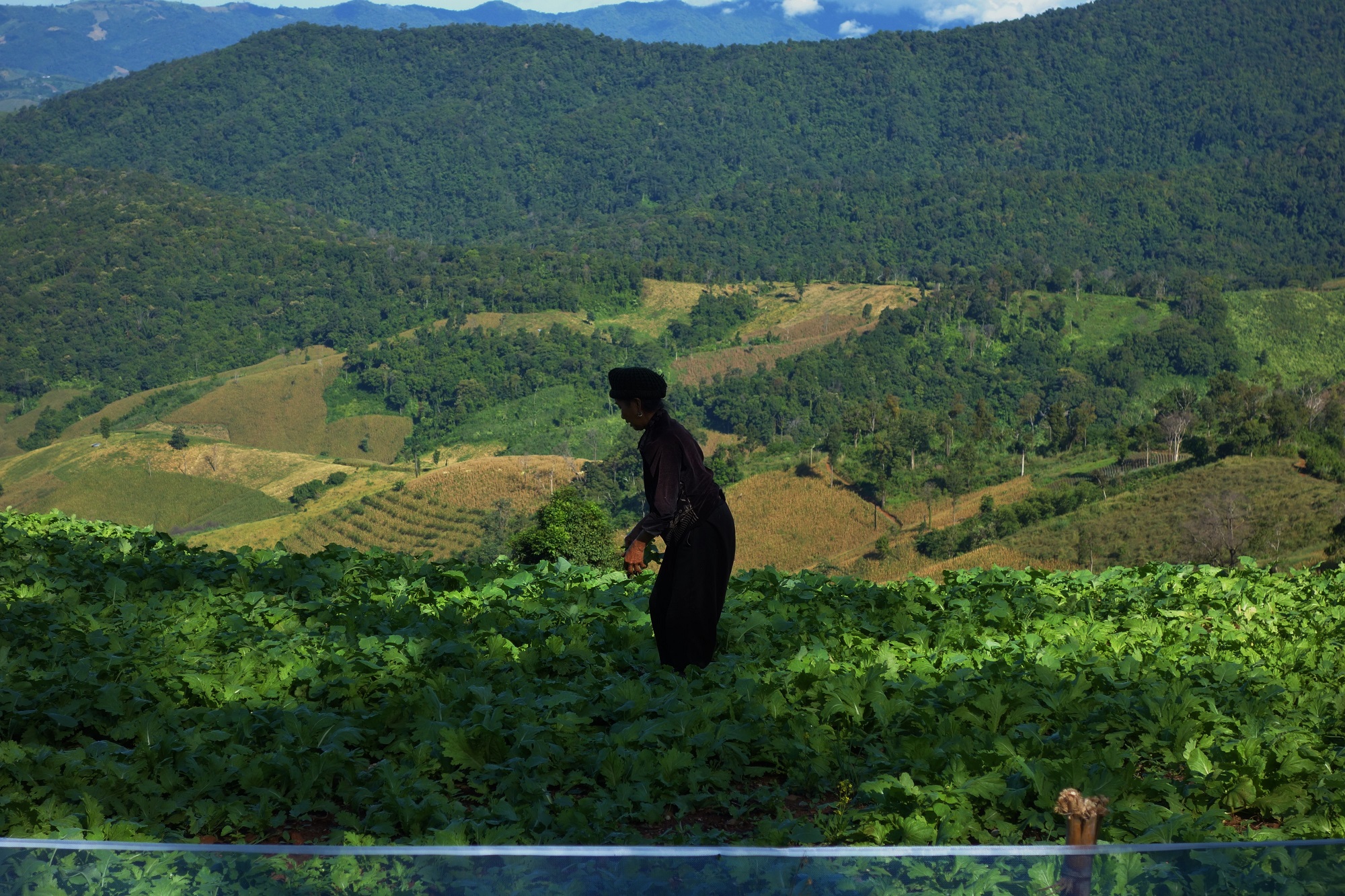 Photos from our North Thailand Cycling Holiday